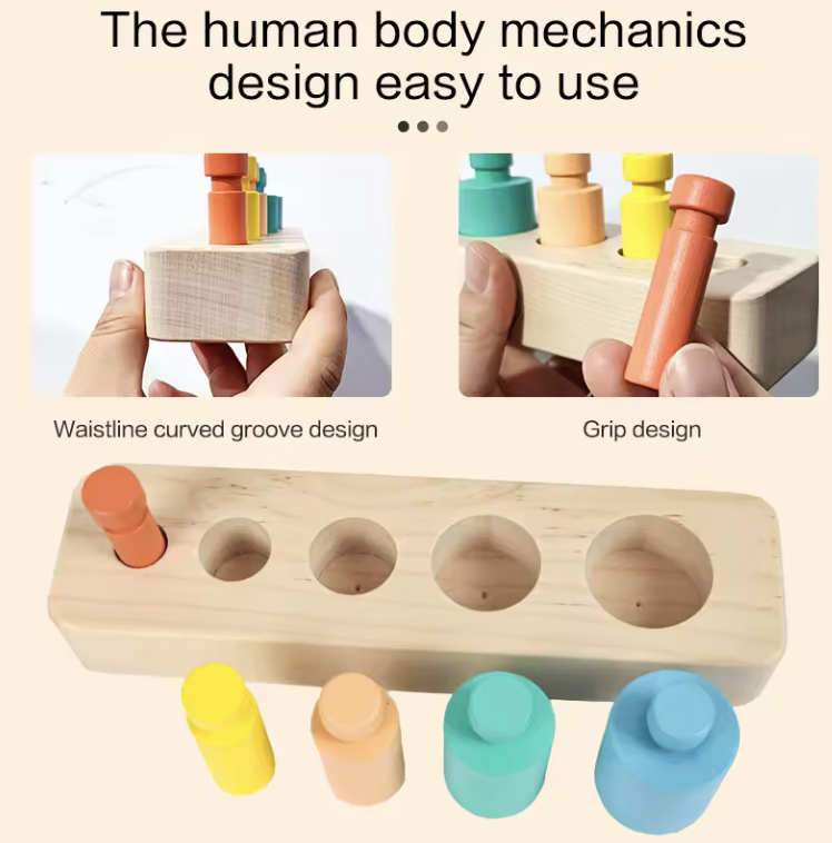 Montessori Colored Cylinder Blocks