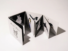 Load image into Gallery viewer, Black and White Contrast Book for Baby