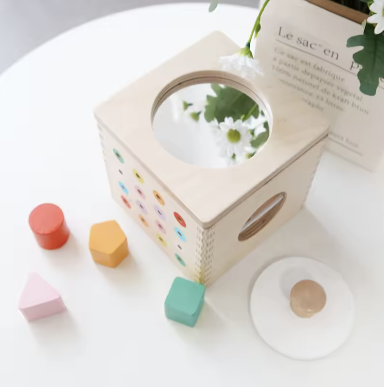 5-in-1 Montessori Box Toy