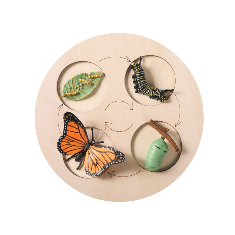 Animal Growth Cycle Puzzle