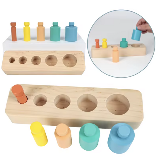 Montessori Colored Cylinder Blocks