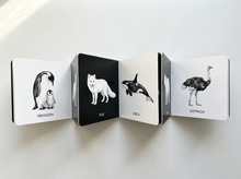 Load image into Gallery viewer, Black and White Contrast Book for Baby
