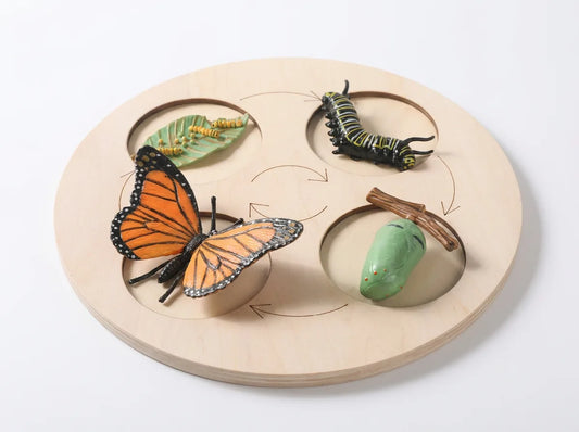Animal Growth Cycle Puzzle