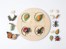 Load image into Gallery viewer, Animal Growth Cycle Puzzle
