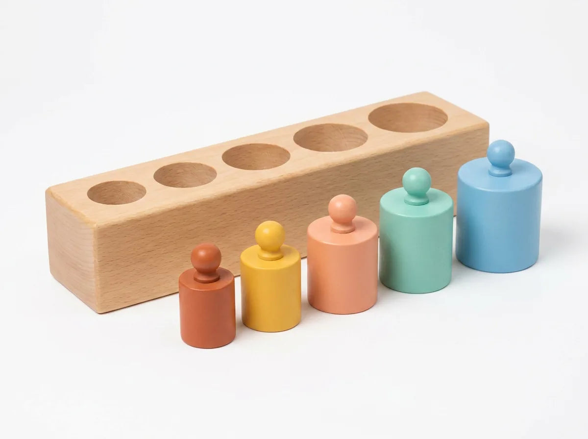 Montessori Colored Cylinder Blocks