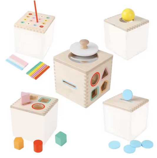 5-in-1 Montessori Box Toy