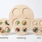 Animal Growth Cycle Puzzle
