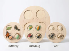 Load image into Gallery viewer, Animal Growth Cycle Puzzle
